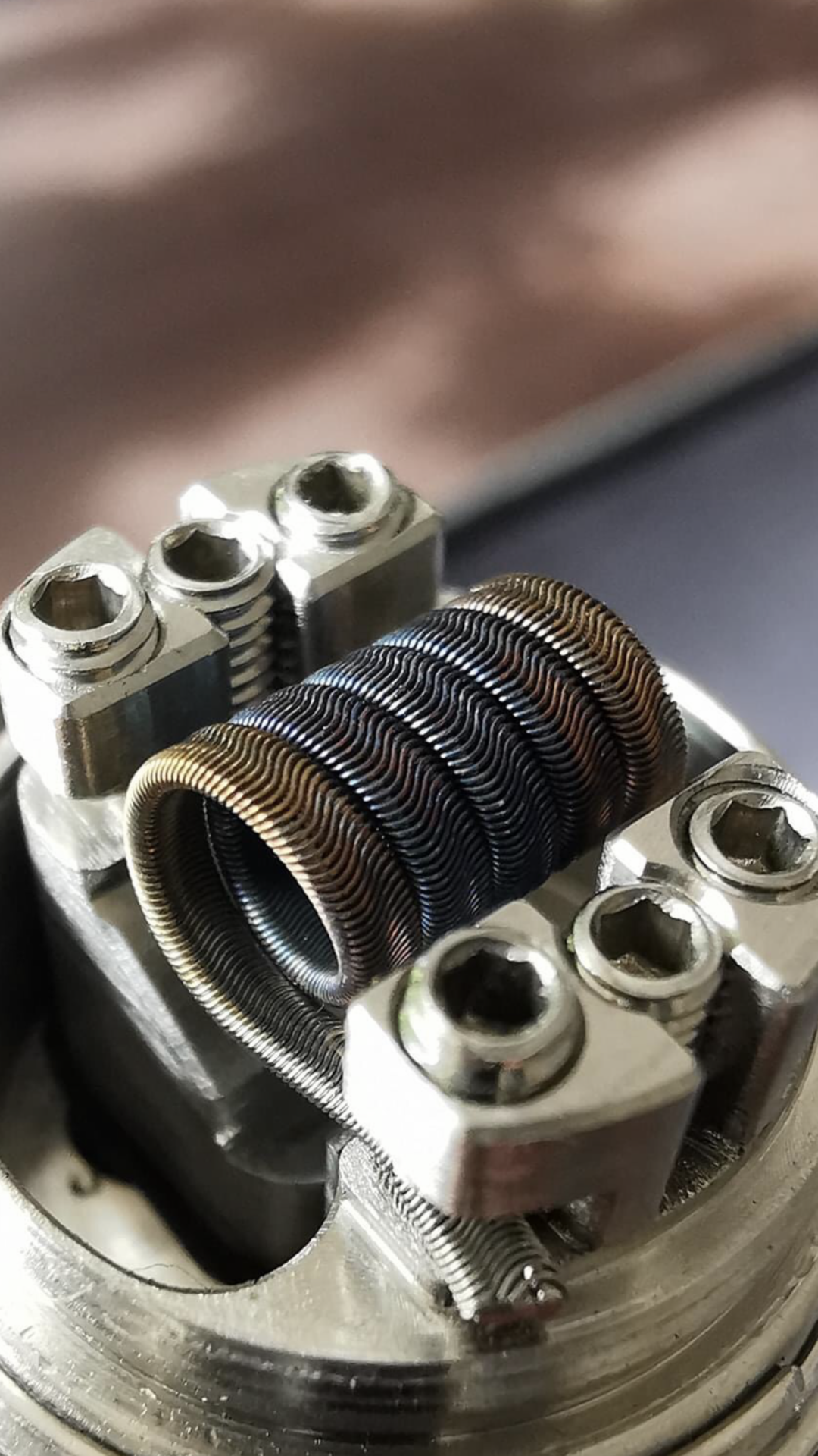 Handmade Coi Taifun GT4